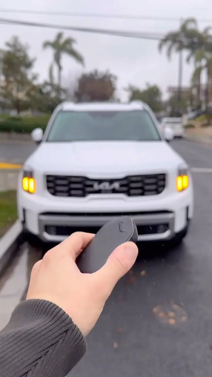 Original cover of KIA Telluride SX-Prestige V6
